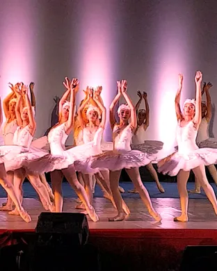 Swan Lake Lincoln